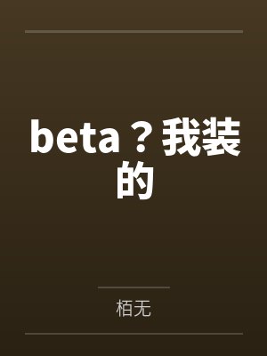 偷东西的贼封面